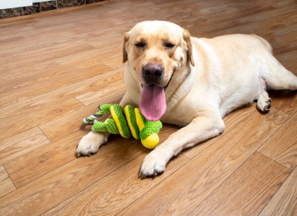 snake doll - Image 16