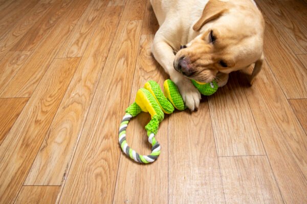snake doll - Image 17